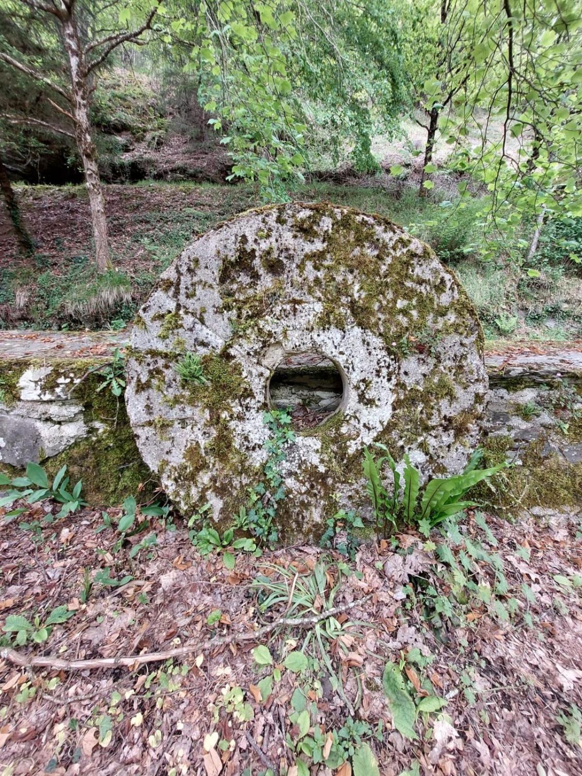 Cassagnes-Bégonhès Moulin De Serre מראה חיצוני תמונה